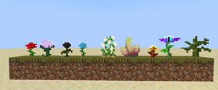 Screenshot 2026-02-19 161817.png