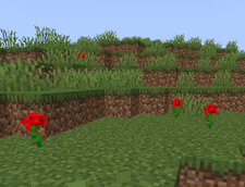 Screenshot 2026-02-19 172117.png