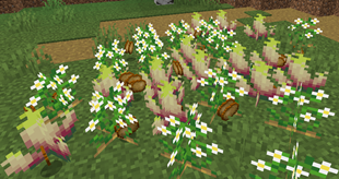 Screenshot 2026-02-19 172850.png