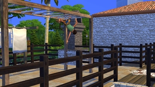 Screenshot 16