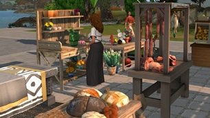 Screenshot 21