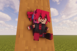 Item Frame