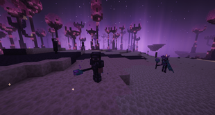 2026-03-10_16.45.02 (1).png