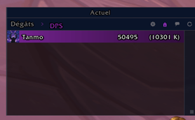 Damage Meter