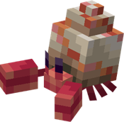 hermit crab.png