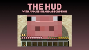 The HUD with AppleSkin