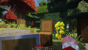 AestheticCraft