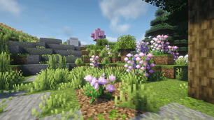 AestheticCraft