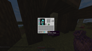 New Item Sack