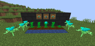 New plant