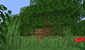 House in tree