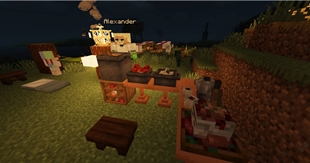 New cooking!