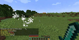image2.webp
