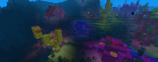 CORAL REEFS