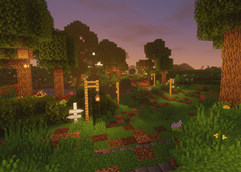 Pathway