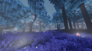 Starlight Dimension using Bliss shader