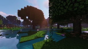 Swamp