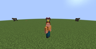 on head.png