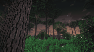 The Twilight Forest