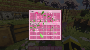 chest.png
