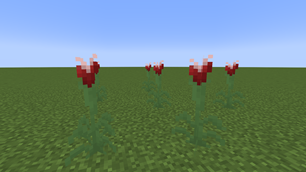 Flower of life.png