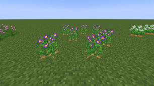 Wild potato.png