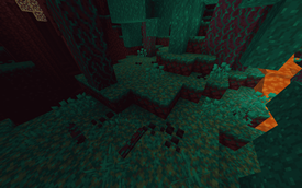 Nether
