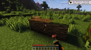 Dynamic Interactions