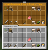 invsee.png