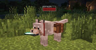 Screenshot 2026-03-141231234 191010.jpg