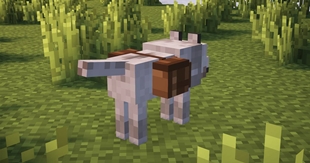 Screenshot 2026-03-14 1921010.jpg