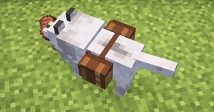 Screenshot 2026-03-14 1921141241010.jpg