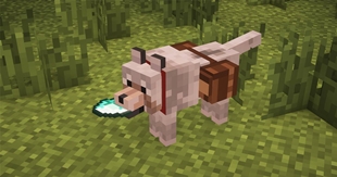 Screenshot 2026-03-14 191010.jpg