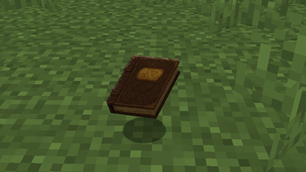 Book You Spawn With