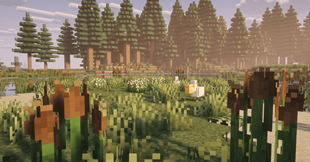 screenshot_5.png