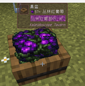 Use Kaleidoscope Tavern's fruit bowl to juice grapes from Vinery.