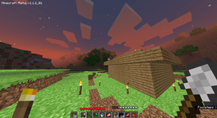 Minecraft Alpha v1.1.2_01