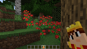 TotemView1.png