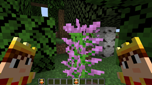 TotemView2.png