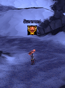 Klicker Addon Pet Tracker Media-1.png