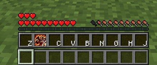 Pok2.JPG