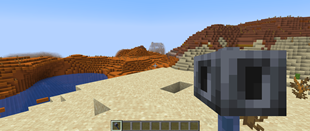 First Person View