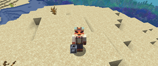 3rd Person from Above