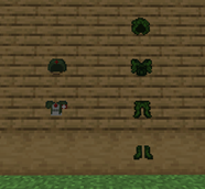 item.png