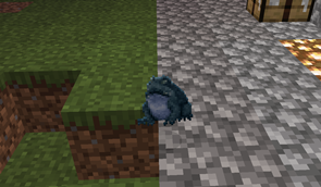 Wut the toad doin?