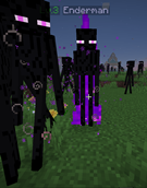 Purple Blight