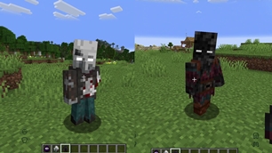 Graveyard Illagers.jpg