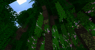 An Oldknot Tree from Into the Woods
