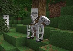 Skeleton Horseman