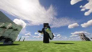 Showcase 4
